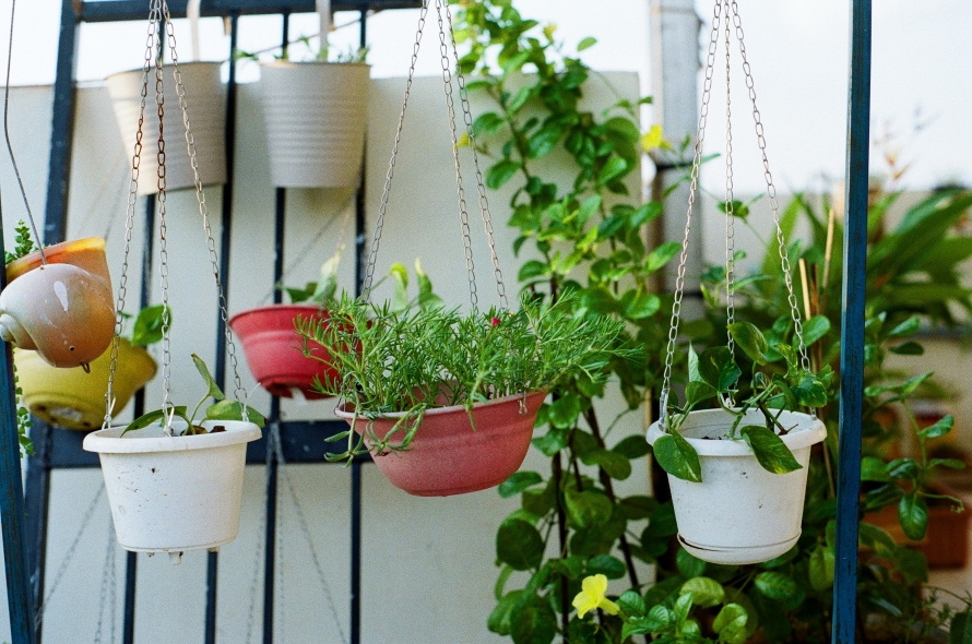 35+ Flower Pot Designs To Beautify Your Green Space in 2023